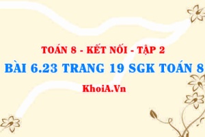 Bài 6.23 trang 19 Toán 8 Kết nối tri thức Tập 2